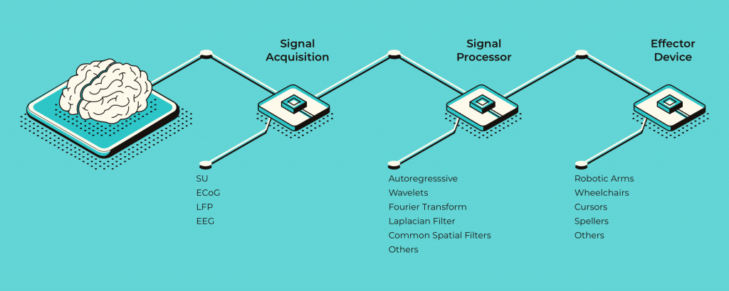 Diagram depicting biometrics being collected from the human brain via signal acquisition, signal processing and an effector device.