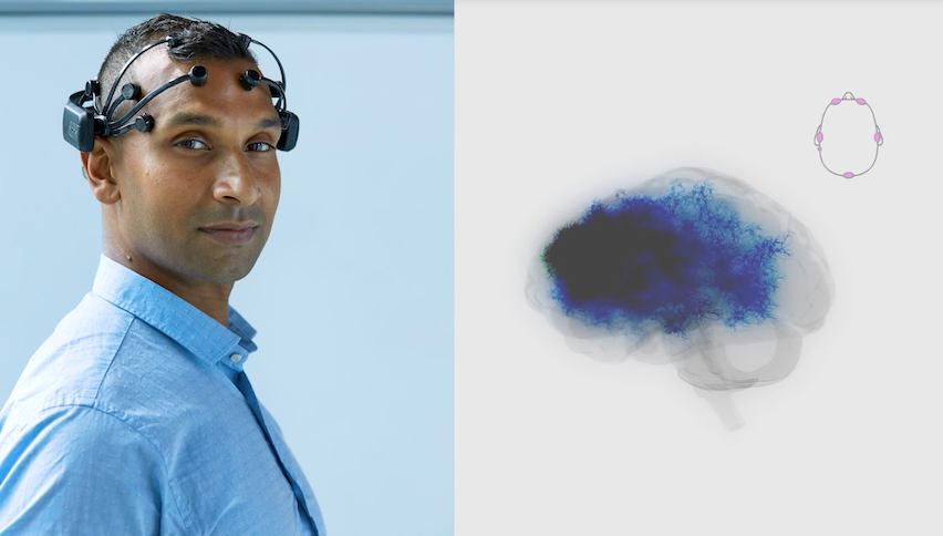All memories, feelings, sensations, and movements in the body result from the passage of signals through neurons of different functions, shapes, and sizes.