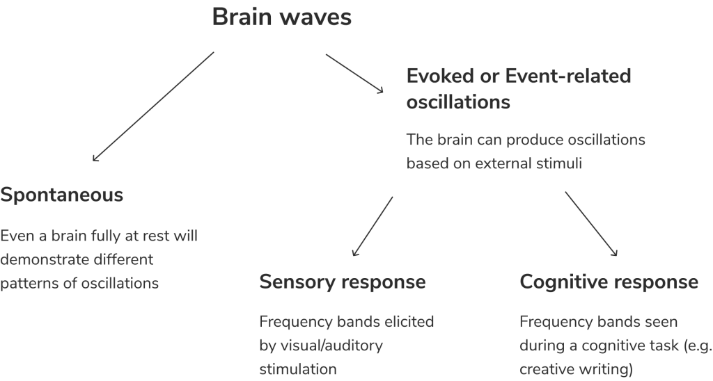 Brain waves