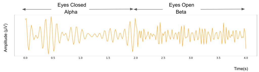 Basics of Neural Oscillations – EMOTIV